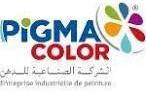  Pigma Color 