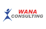 Wana Consulting