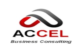 Accel Business Consulting