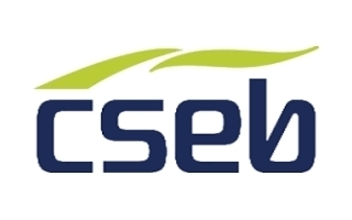 CSEB (COMPAGNIE DE SERVICES AUX ENTREPRISES DU BENIN) - Agent Commercial