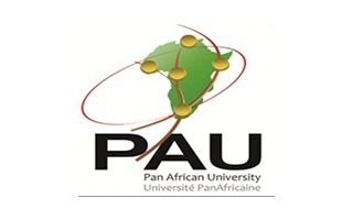 Université Panafricaine