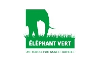 Eléphant Vert