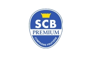 SCB (Société de Culture Bannière)