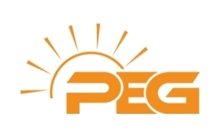 PEG Africa - CRM BI Analyst