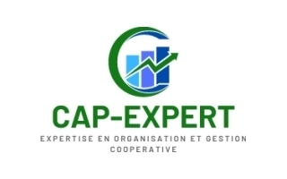 CAP EXPERT CONSEIL - Commissaire aux Comptes H/F