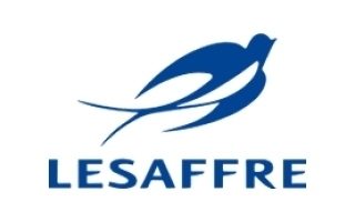 Lesaffre - Lean/Factory 4.0/Safety - AFRICA AREA project Leader