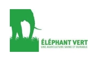 Éléphant vert