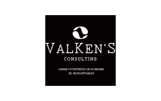 VALKEN’S CONSULTING