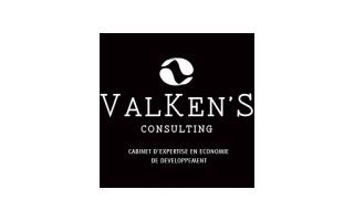 VALKEN’S CONSULTING - Assistant de Direction (H/F)